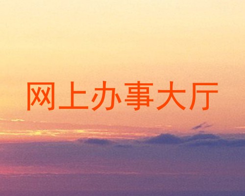 网上办事大厅
