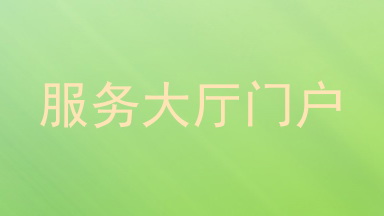 服务大厅门户