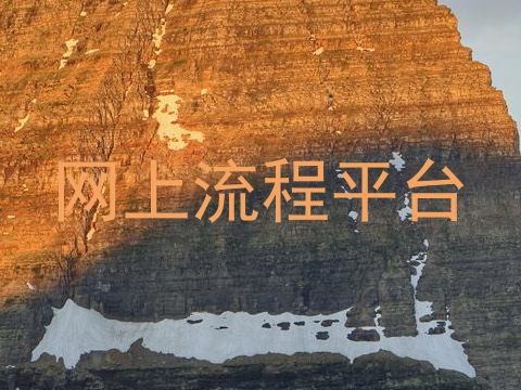 网上流程平台