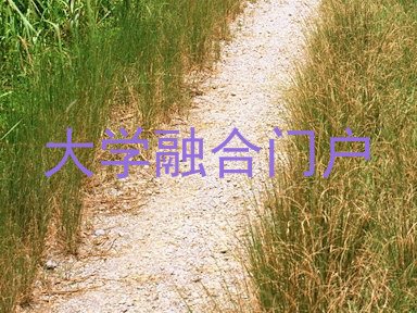 大学融合门户