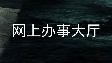 网上办事大厅