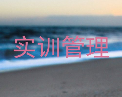 实训管理