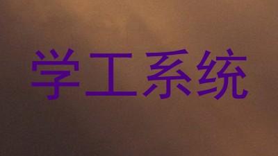 学工系统