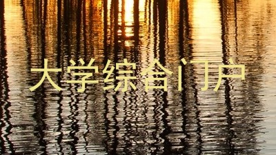 大学综合门户