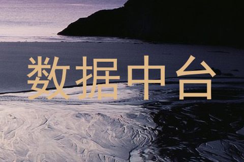 数据中台