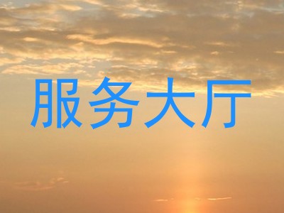 服务大厅
