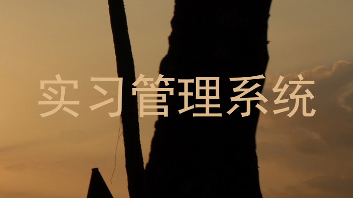 实习管理系统