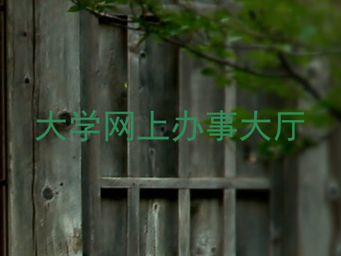 大学网上办事大厅