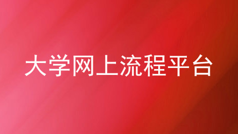 大学网上流程平台