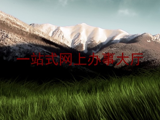 一站式网上办事大厅