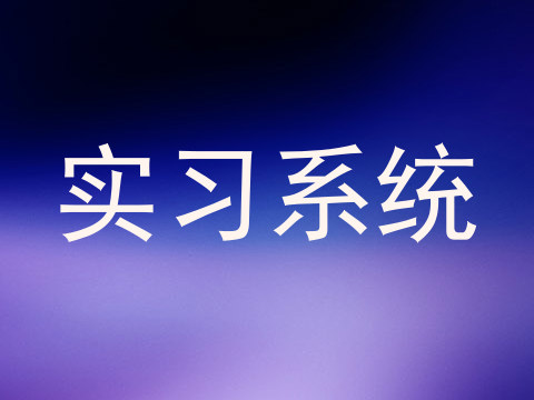 实习系统