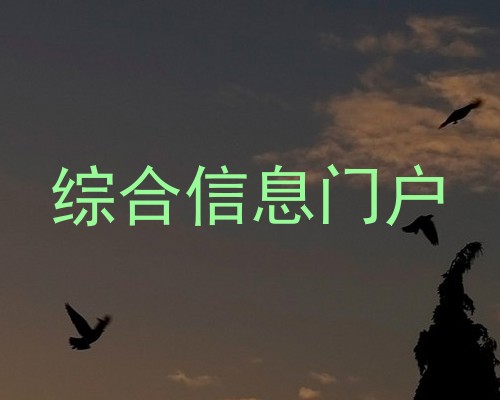 综合信息门户