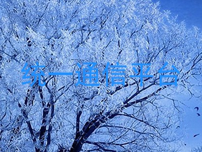 统一通信平台