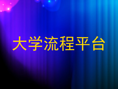 大学流程平台