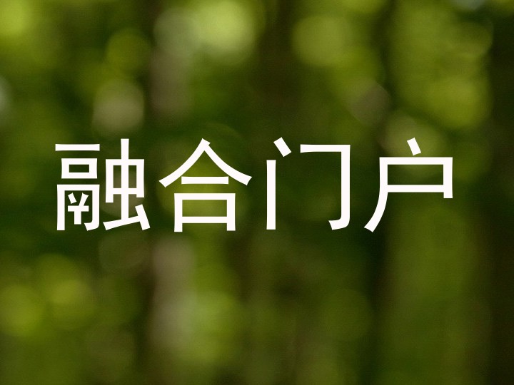 融合门户