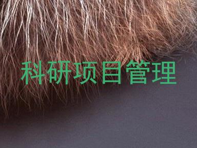 科研项目管理