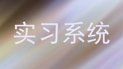 实习系统