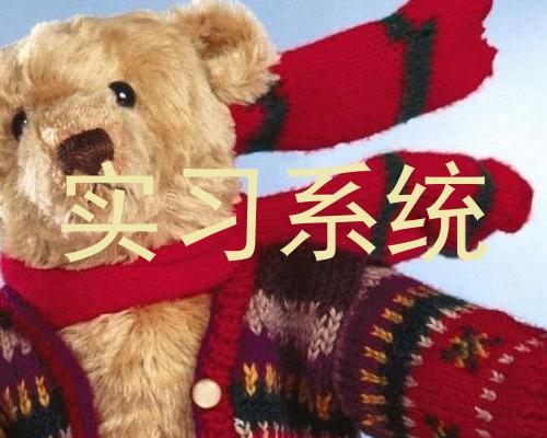 实习系统