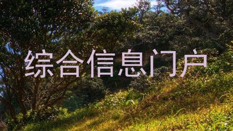 综合信息门户