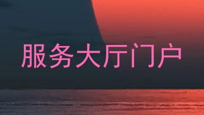 服务大厅门户