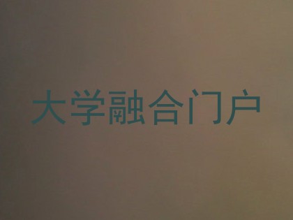大学融合门户