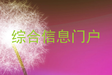 综合信息门户