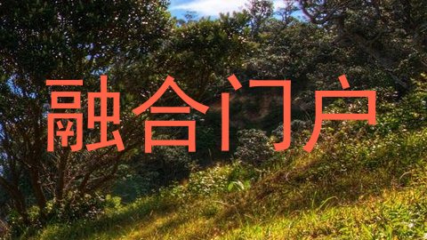 融合门户