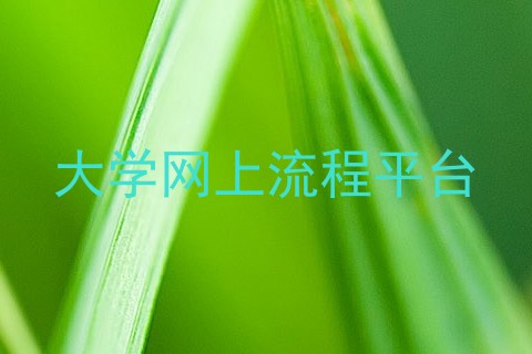 大学网上流程平台