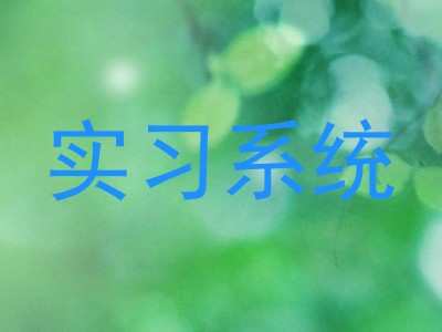 实习系统