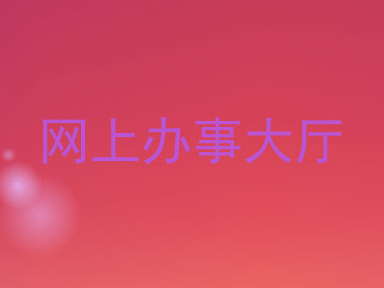 网上办事大厅
