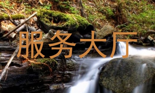 服务大厅