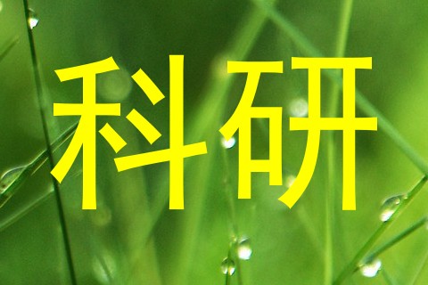 科研