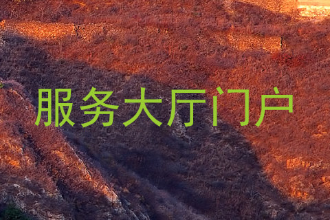 服务大厅门户