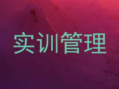实训管理