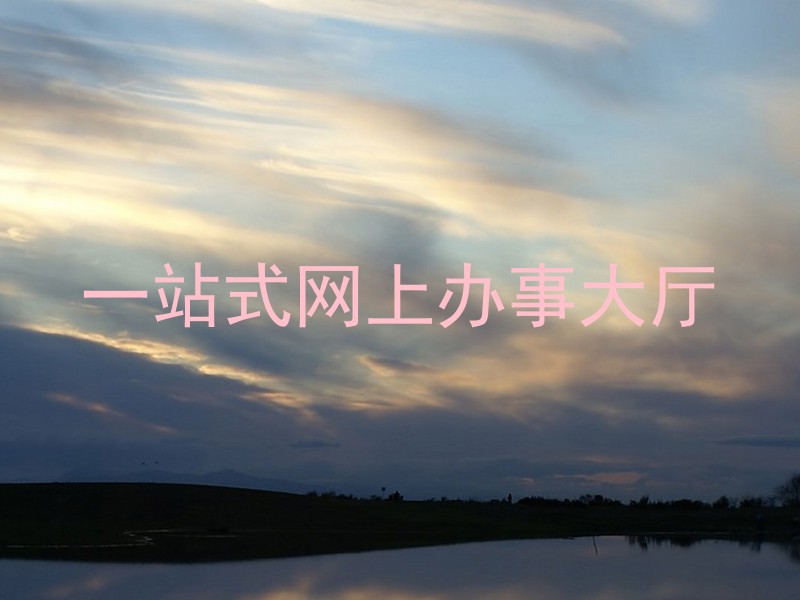 一站式网上办事大厅