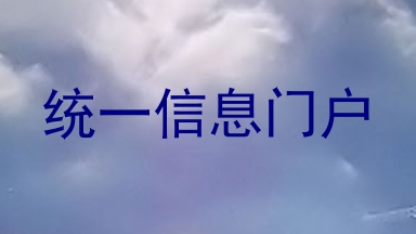 统一信息门户