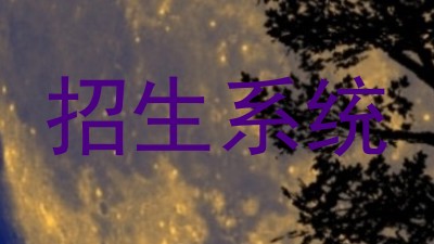 招生系统