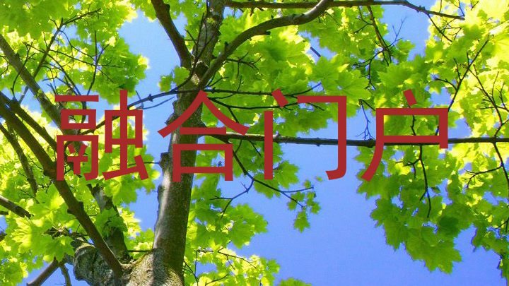 融合门户