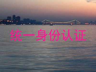 统一身份认证