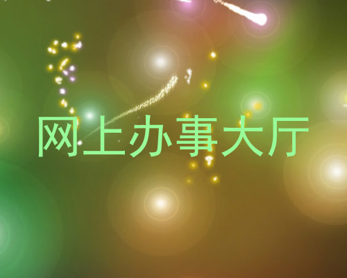 网上办事大厅