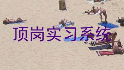 顶岗实习系统