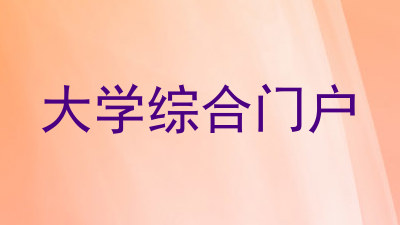 大学综合门户