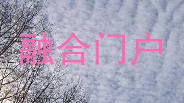 融合门户