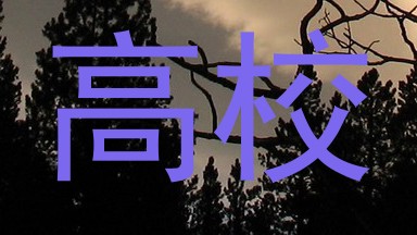 高校