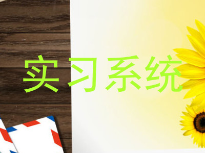 实习系统