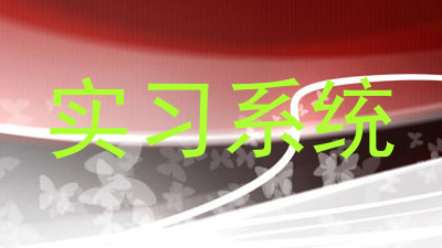 实习系统