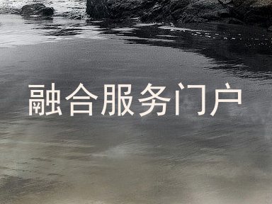 融合服务门户