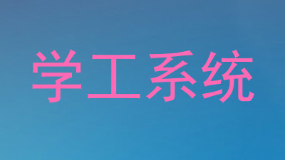 学工系统