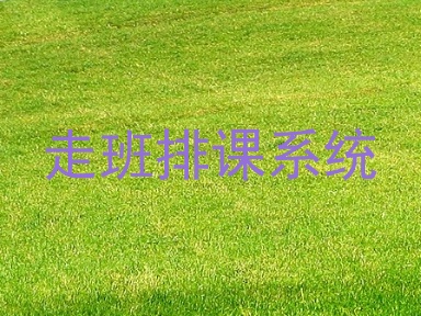 走班排课系统