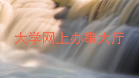 大学网上办事大厅
